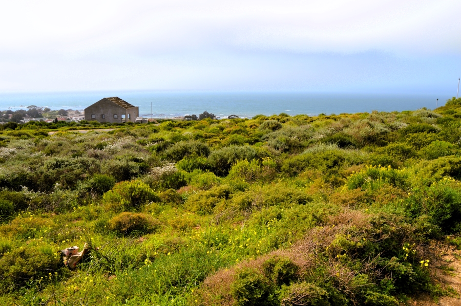 0 Bedroom Property for Sale in Steenbergs Cove Western Cape